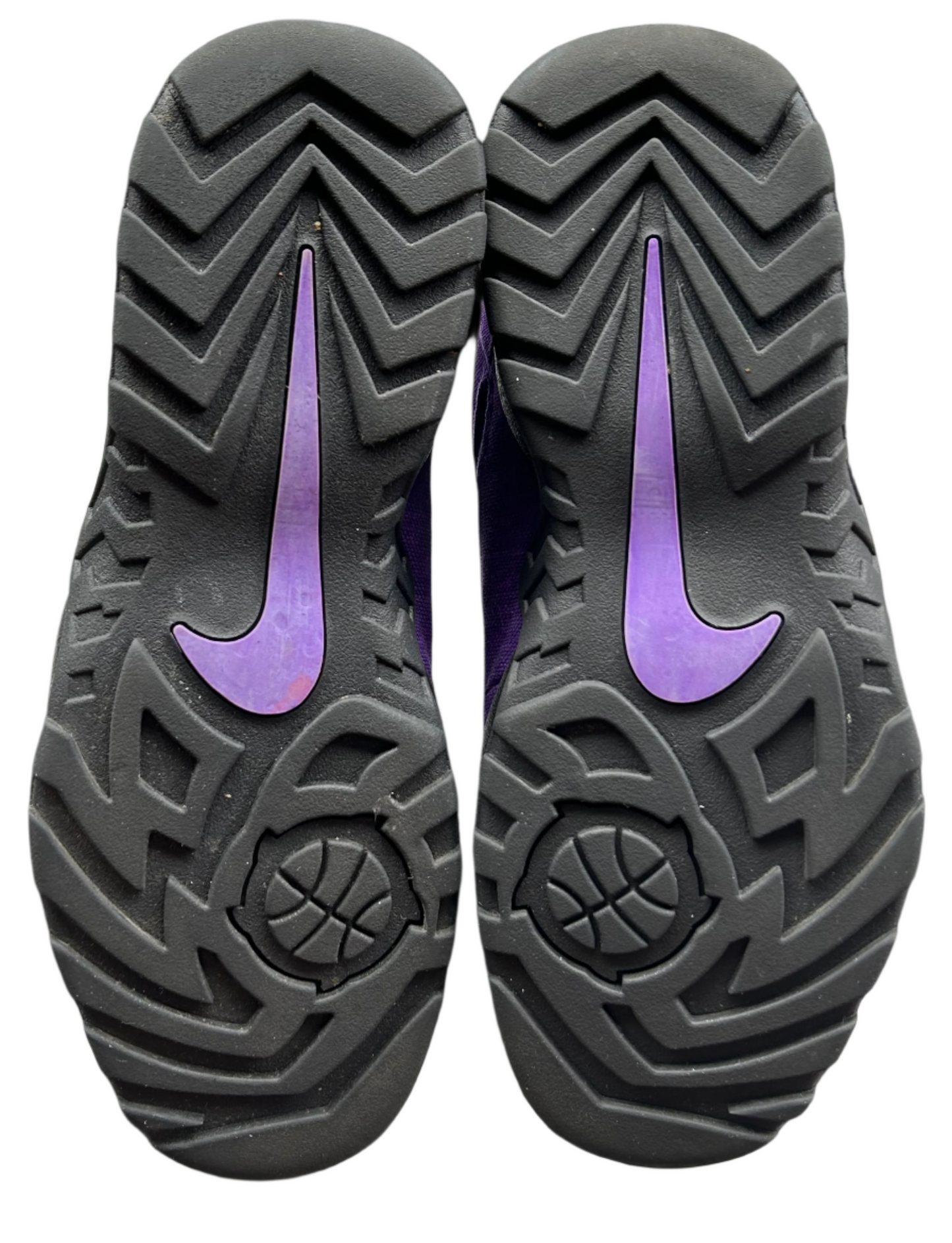 Supreme Nike Air Darwin Low Purple